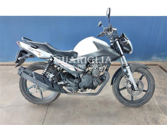 YAMAHA 150 FACTOR ED 2022
